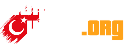 fvt46a2 (1).png